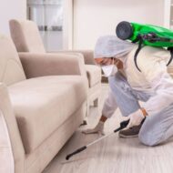 Read more about the article شركة مكافحة حشرات بمكة